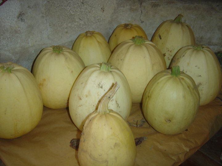 Les courgettes spaghetti qu'il reste