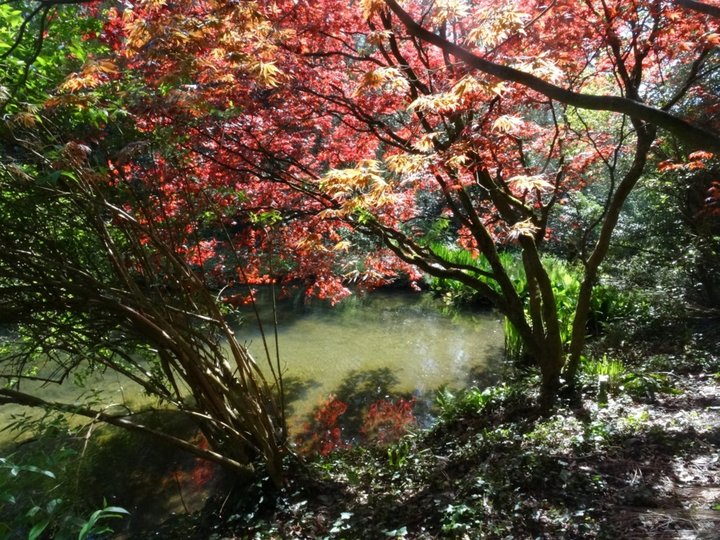 Les jardins de kerdalo