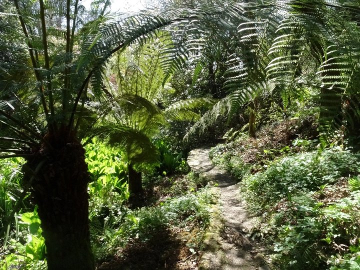 Les jardins de kerdalo