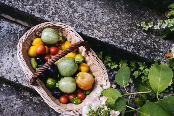 Les productions du potager