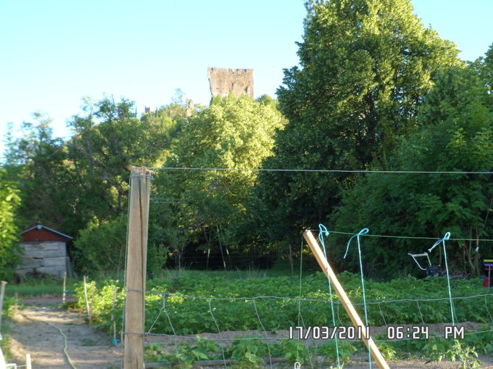 Les ruines du château