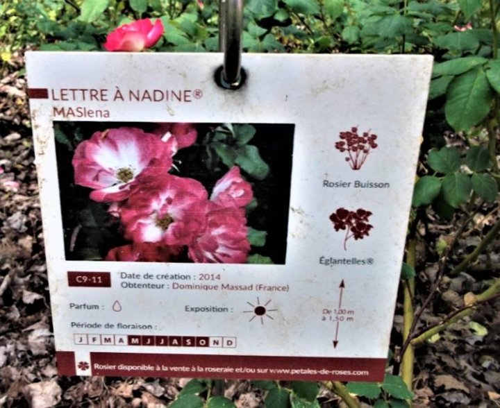 lettre à Nadine