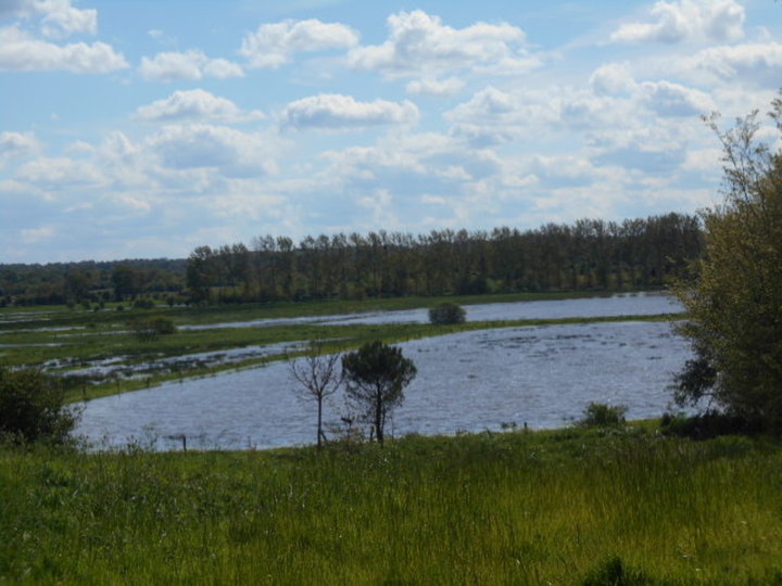 Marais inondés