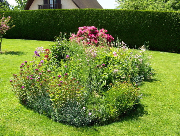 Massif et fleurs d'agrément