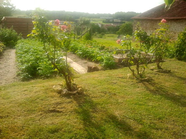 Moment de détente...