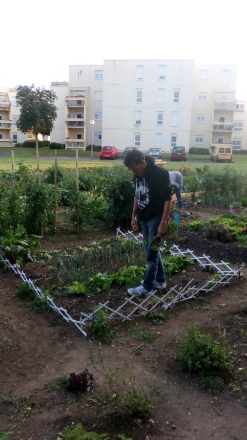 Mon chéri dans son jardin