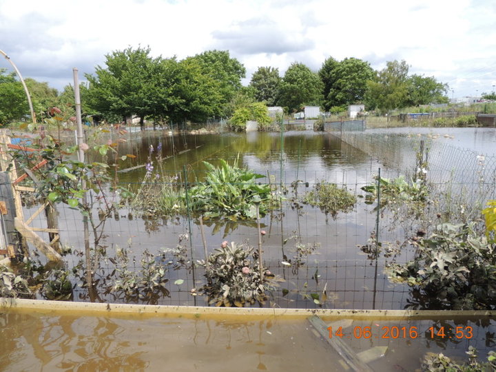 mon jardin en Normandie bord de Seine