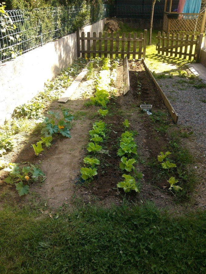 Mon petit jardin