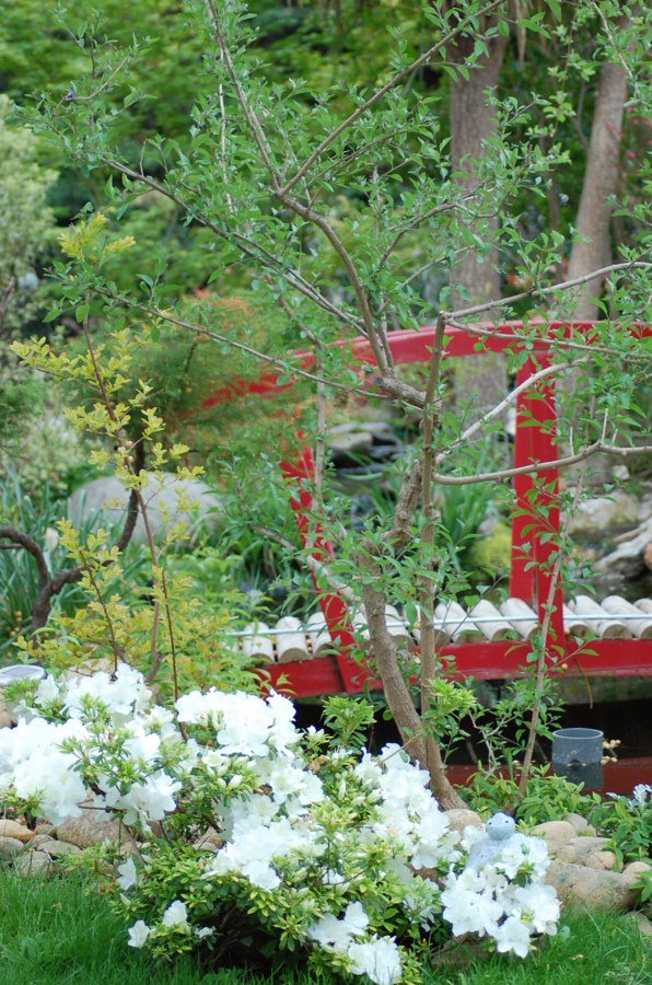 Mon petit pont