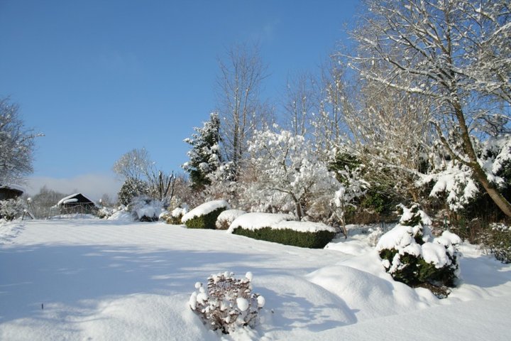 Neige et ciel bleu