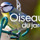 Les oiseaux du jardin