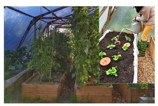 Jardin partag&eacute; &agrave; B&egrave;gles (Gironde)