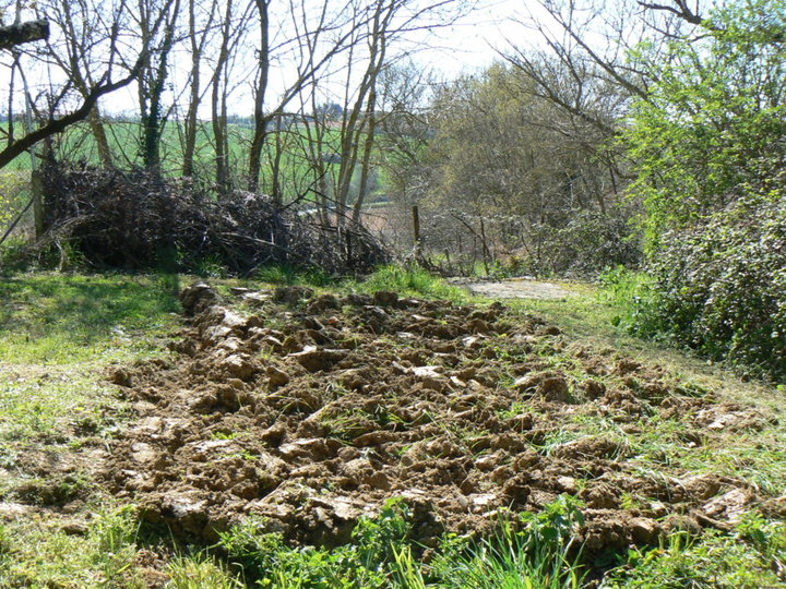 Ouverture d'un deuxième jardin.