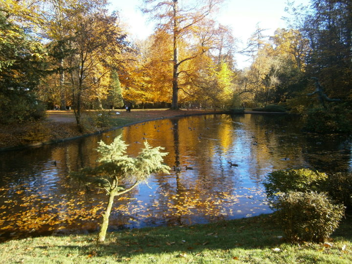 Parc de Mariemont (Belgique)