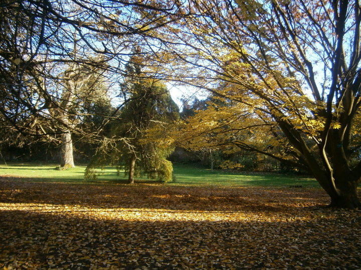 Parc de Mariemont (Belgique)