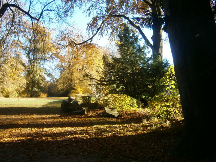 Parc de Mariemont (Belgique)