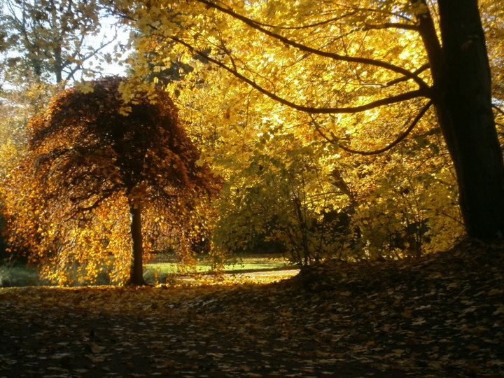 Parc de Mariemont (Belgique)