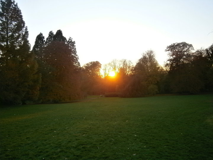 Parc de Mariemont (Belgique)