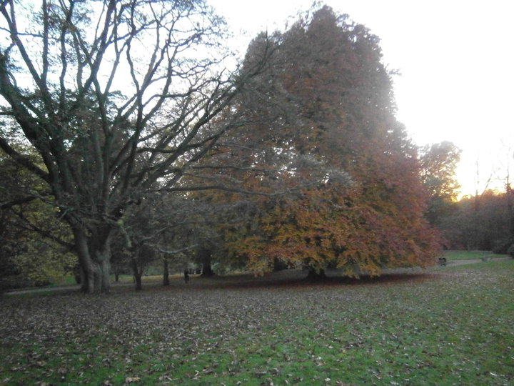 Parc de Mariemont (Belgique)