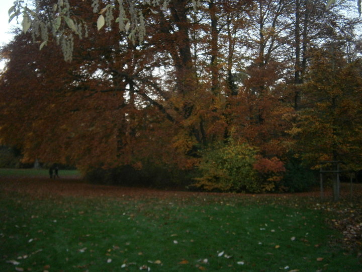 Parc de Mariemont (Belgique)