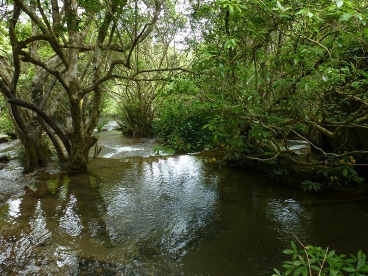 Parc de xiaoqikong