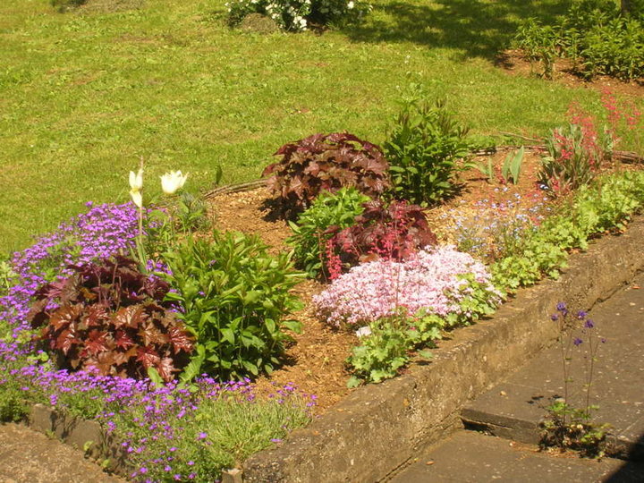 Parterre de fleurs