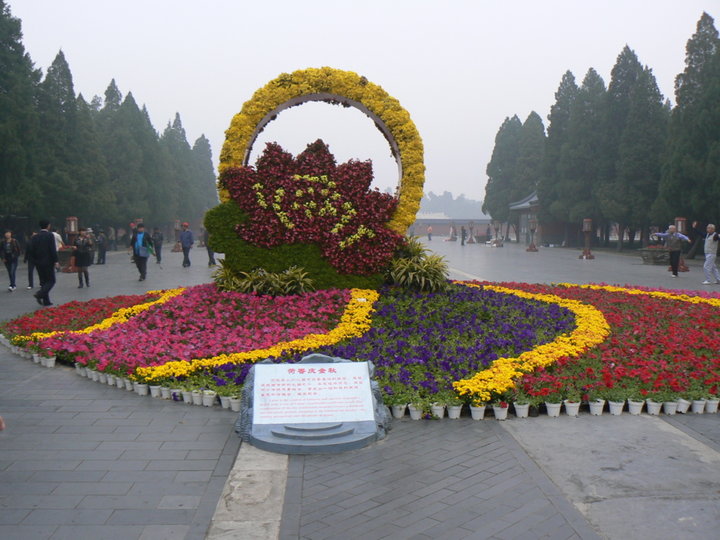 Parterre de fleurs