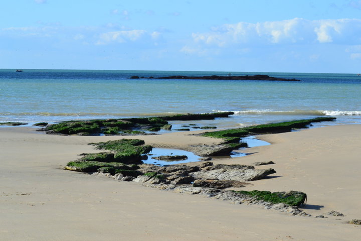 Petit banc de sable