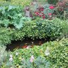 Mon jardin