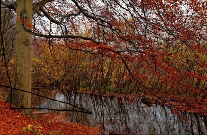 Petit point d'eau 