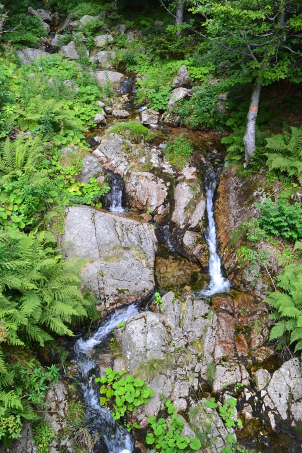 Petite cascade au col de meyrand à 1370 m