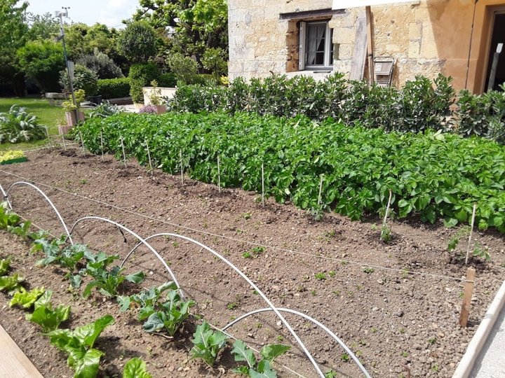 Plantation du 1ier Mai