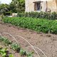 Mon jardin