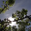 Au fil des saisons