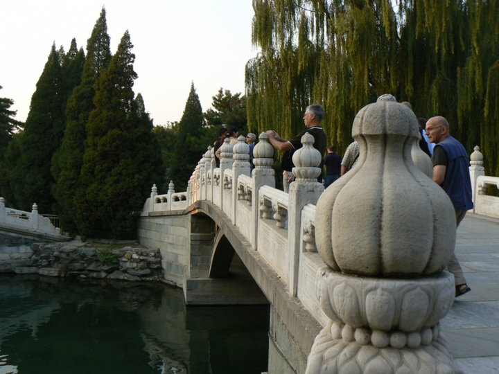 Pont dans un jardin.