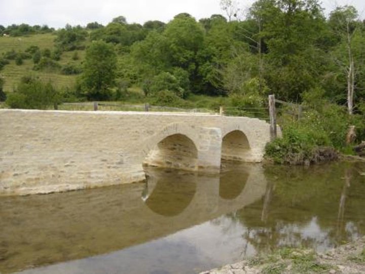 Pont des gonons