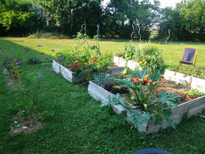 Potager en carré avec du recul