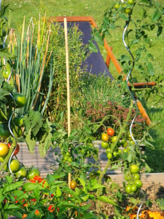 Potager en carré, transat...vacances