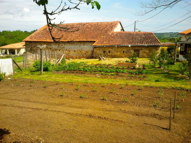 Préparation du 2° morceau de terre...