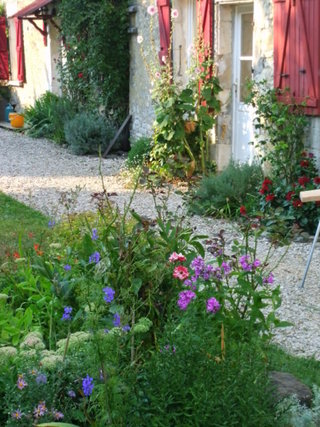 asters &agrave; venir au premier plan puis phlox, pieds d'alouettes, spir&eacute;e...