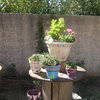 Pot de fleurs peint