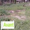 Réalisation d'un poulailler