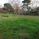 Potager