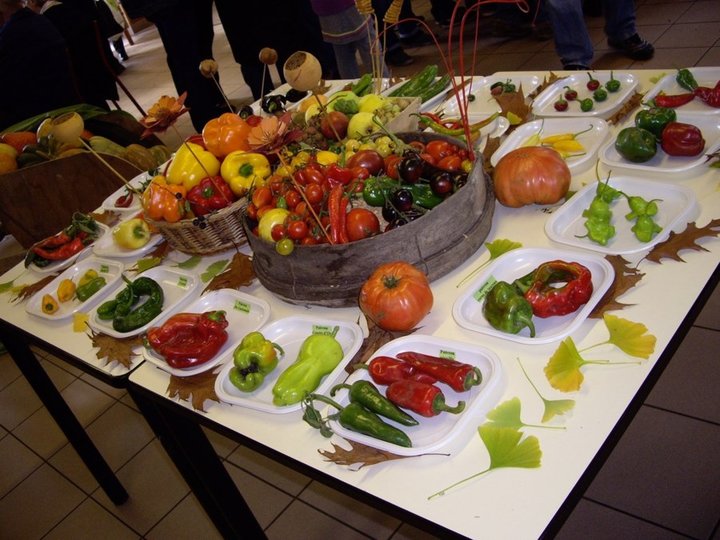 Tomates et piments 