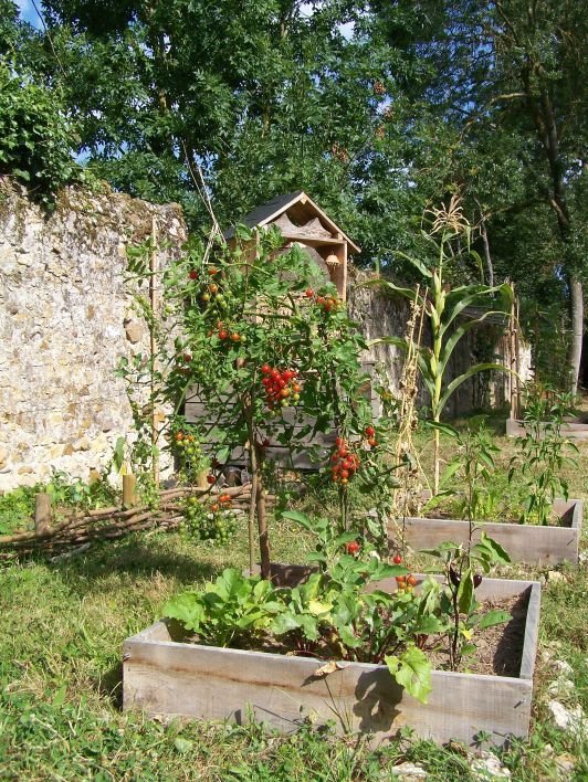 Un aperçu du jardin