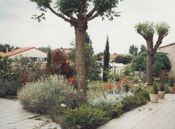 Un coin de provence            été 2010