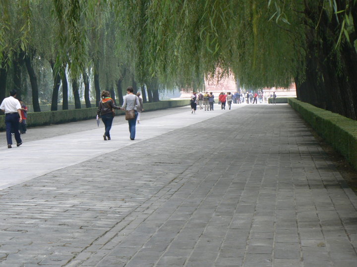 Un peu de verdure dans un parc (Pékin.