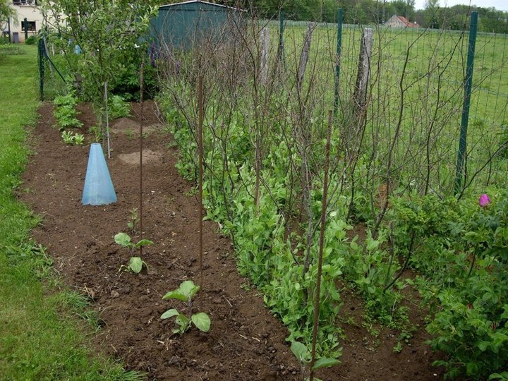 Une autre partie du jardin