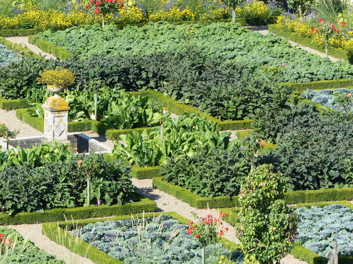 Une partie du jardin potager