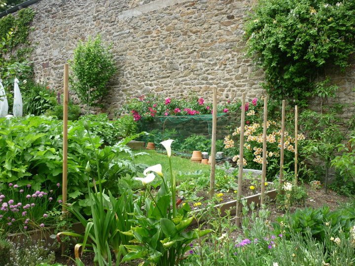 Une partie du jardinet